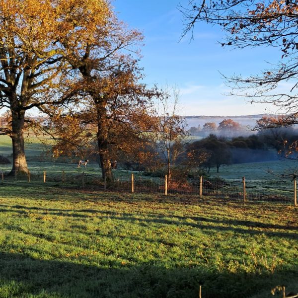 nature automne Sabots de Laine